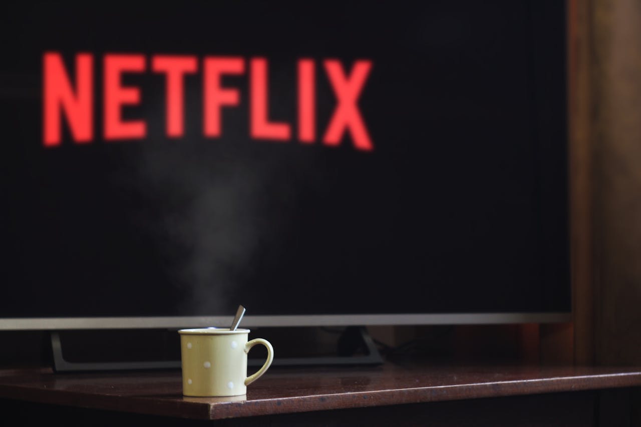 netflix hushåll