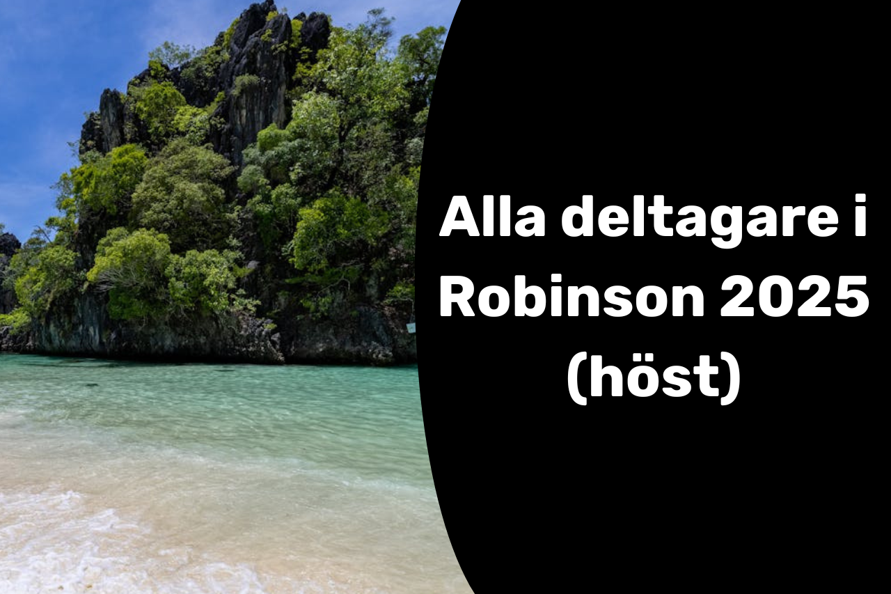 robinson 2025 deltagare